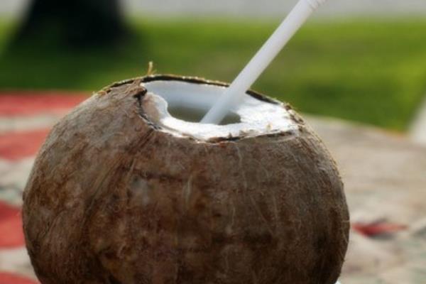椰子怎么开 椰子的三个孔怎么找 没有工具怎么开椰子