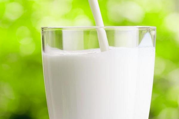 羊奶和牛奶的区别是什么 羊奶好还是牛奶好