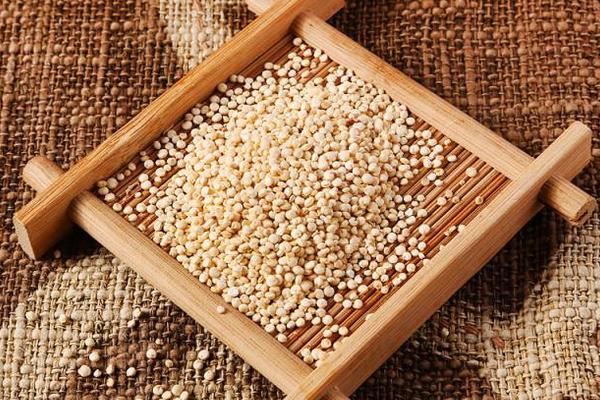 藜麦是什么 藜麦在中国叫什么