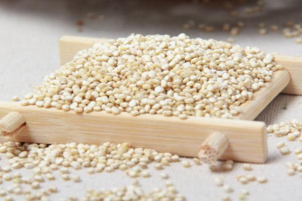 藜麦是什么 藜麦在中国叫什么