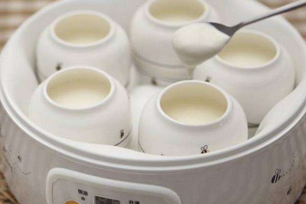 自制酸奶怎么做 自己做酸奶为什么有水