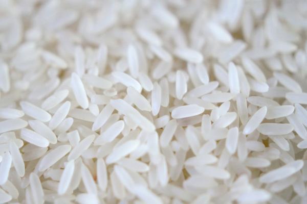 懒人稻是真的还是假的 懒人稻的优缺点 懒人稻是转基因吗