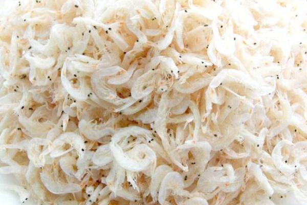 虾米吃什么 虾米是海鲜吗