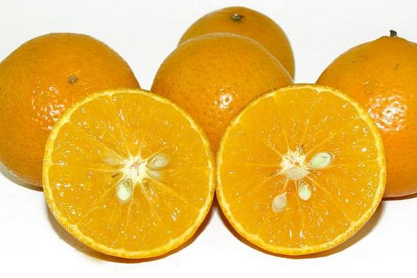 皇帝柑是橘子还是橙子 皇帝柑好还是沃柑好吃