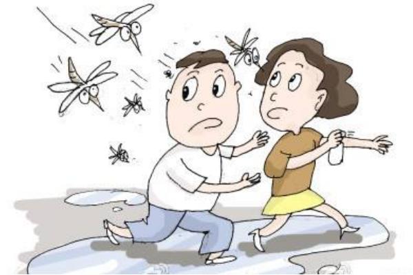 蚊子为什么在耳边转 蚊子吸血是为了什么