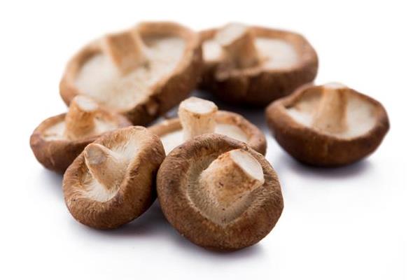 冬菇、香菇、金钱菇、蘑菇的区别是什么 如何挑选优质的新鲜香菇
