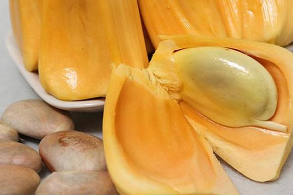 菠萝蜜功效与作用及禁忌 菠萝蜜的营养价值