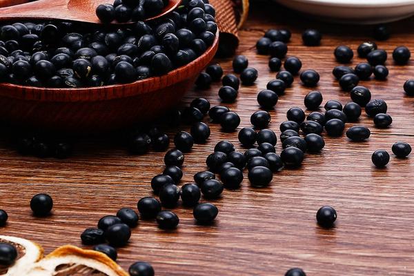 黑芸豆的功效与作用及禁忌 黑芸豆营养价值