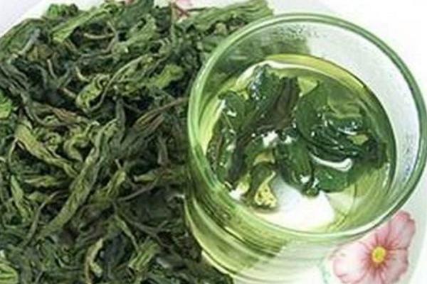 柿子叶茶的功效与作用 柿子叶茶的制作方法