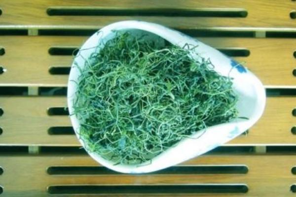 绞股蓝茶的功效与作用及禁忌 绞股蓝茶可以减肥吗