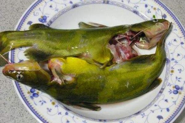 黄颡鱼汤功效与作用 黄颡鱼营养价值