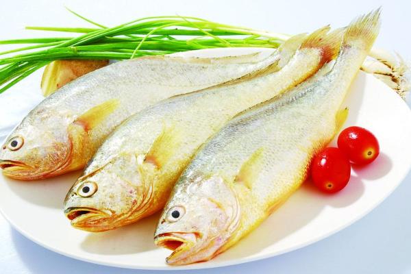 黄花鱼功效与作用及禁忌 黄花鱼的营养价值