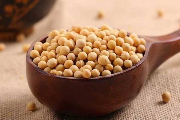 黄豆功效与作用及禁忌 黄豆营养价值