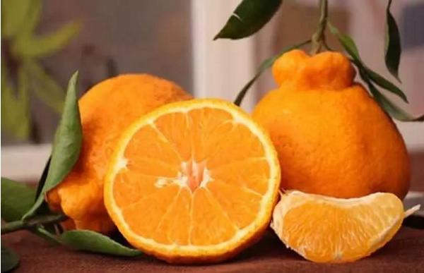 丑八怪橘子的功效与作用 丑八怪橘子营养价值