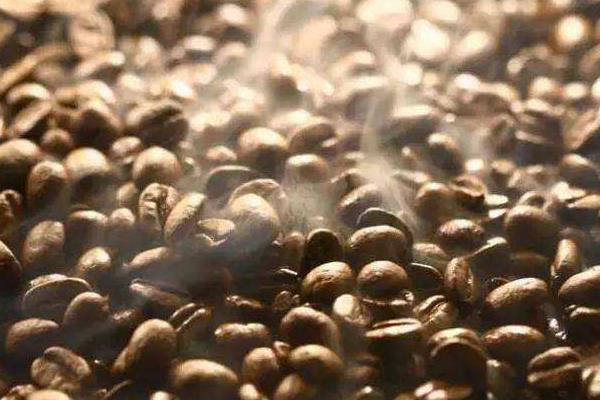 哪里的咖啡豆最好 咖啡里可以加什么