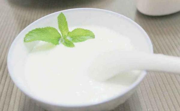 鲜牛奶可以做酸奶吗 鲜牛奶怎么做酸奶
