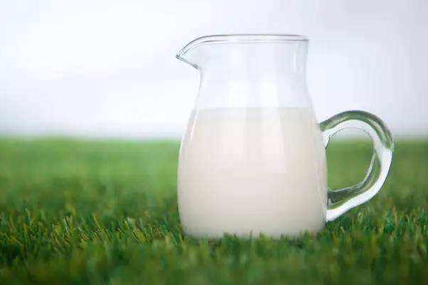 羊奶冷冻可以存放多久 鲜羊奶怎么保存