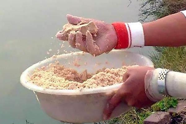 钓鳗鱼最好用什么饵料 钓鳗鱼的方法