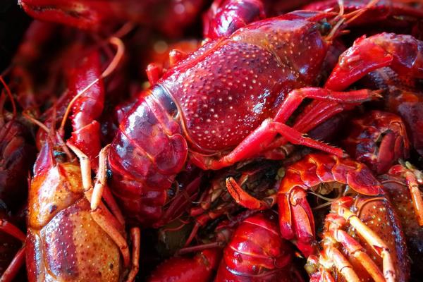 小龙虾不能和什么一起吃？ 吃小龙虾的禁忌有哪些？