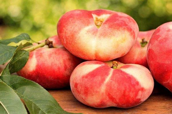 桃子不能和什么水果一起吃 吃桃子的禁忌