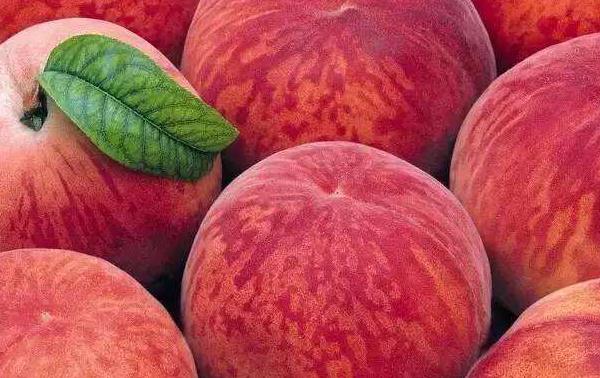 桃子可以做哪些美食 桃子的简单做法大全