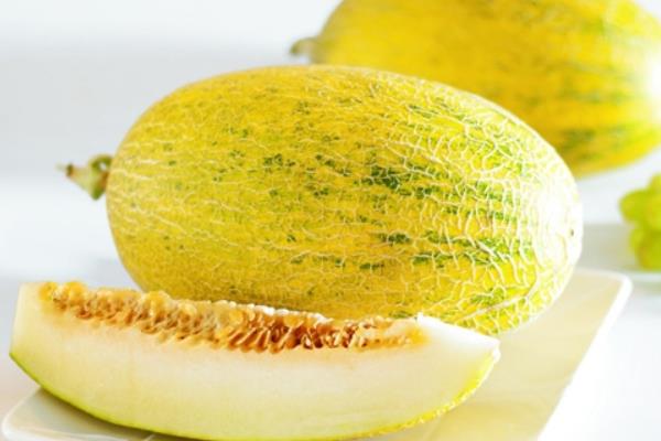 哈密瓜和香瓜的区别是什么 绿色果肉哈密瓜叫什么
