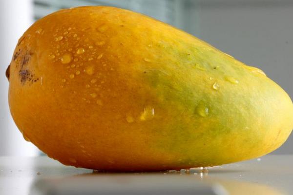 芒果怎么看熟没熟 芒果为什么会苦