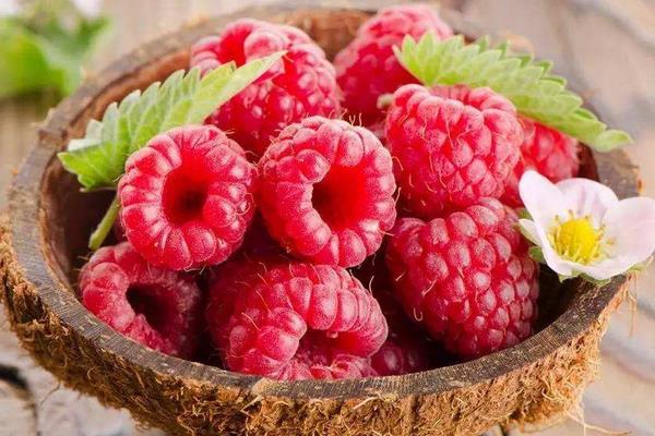 树莓怎么吃 孕妇可以吃树莓吗