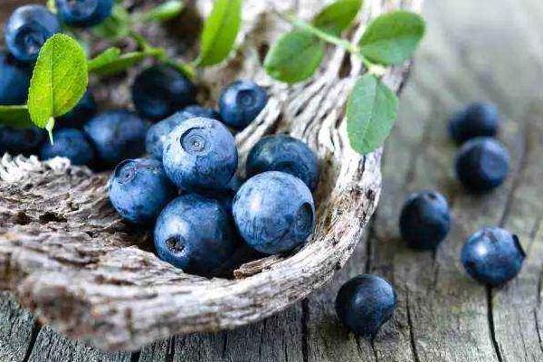 蓝莓什么时候吃最好 晚上吃蓝莓会胖吗