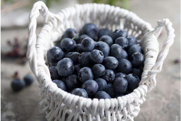 蓝莓外面的白霜是什么 蓝莓生白虫了能吃吗