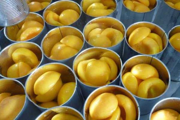 黄桃为什么那么贵 黄桃哪里产的最有名