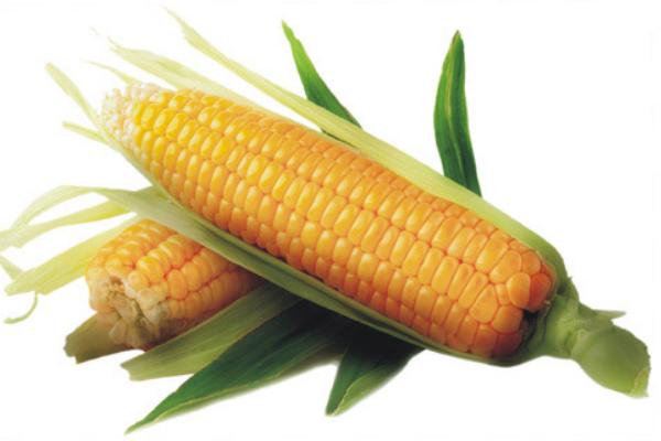 玉米含糖高吗 吃玉米会胖吗