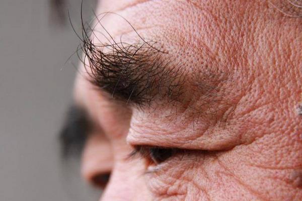 长寿眉预示什么 长寿眉毛什么时候长预示长寿