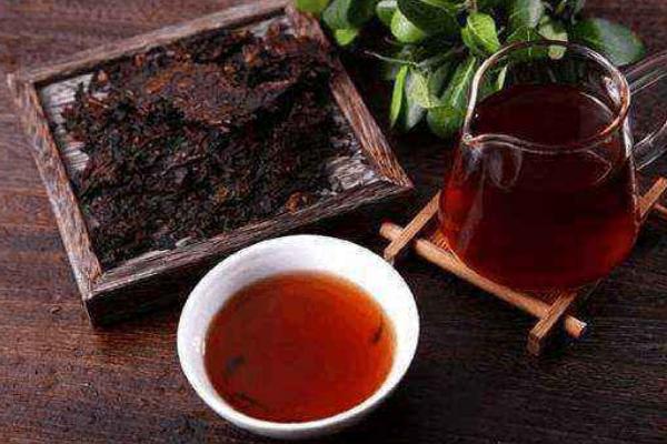 生普洱茶和熟普洱茶的区别是什么 普洱茶是生茶好还是熟茶好