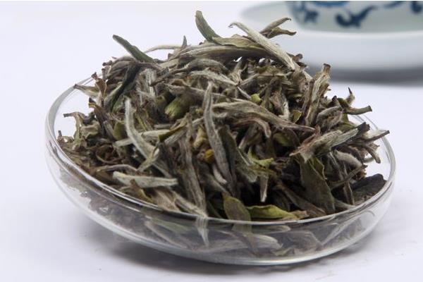 白茶可以放多久 白茶是发酵茶吗