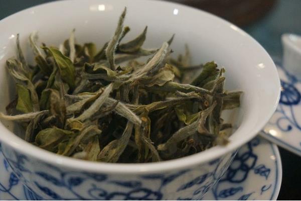 白茶可以放多久 白茶是发酵茶吗