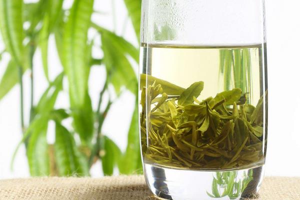 红茶和绿茶的区别是什么 白茶是绿茶吗