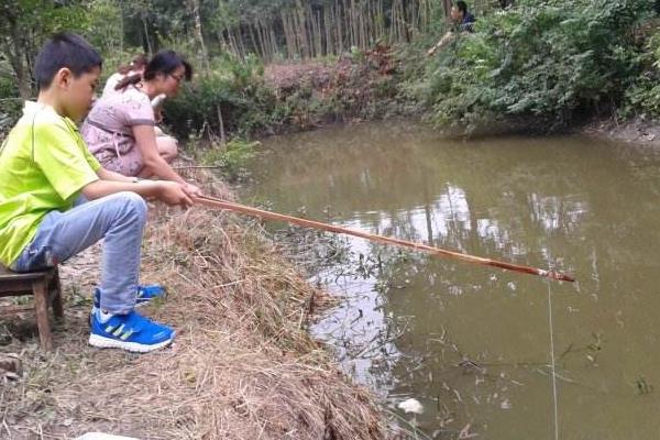 什么季节钓龙虾 钓龙虾技巧 为什么土豆可以钓龙虾