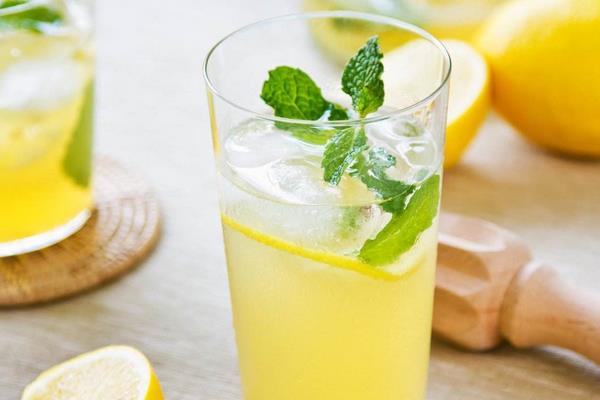 柠檬薄荷可以吃吗 柠檬薄荷水的功效与作用