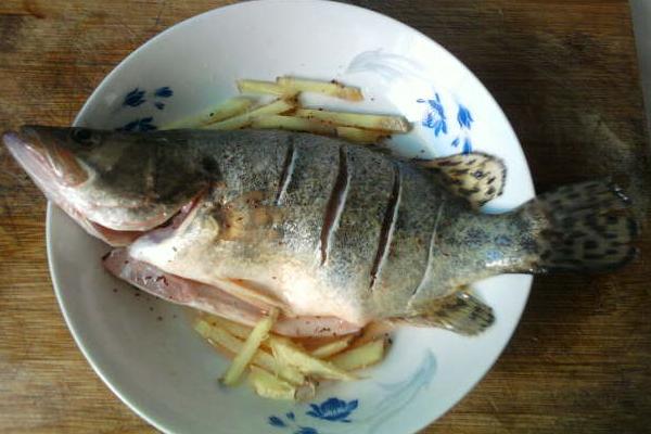 松鼠桂鱼是什么菜系 正宗松鼠桂鱼的做法