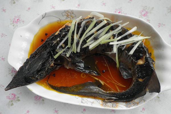 中华鲟鱼鱼皮怎么去除 中华鲟哪个部位有毒