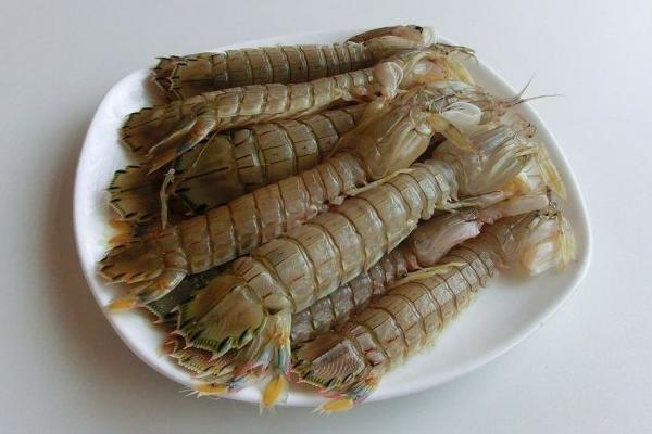 濑尿虾和皮皮虾的区别是什么 皮皮虾的功效与作用