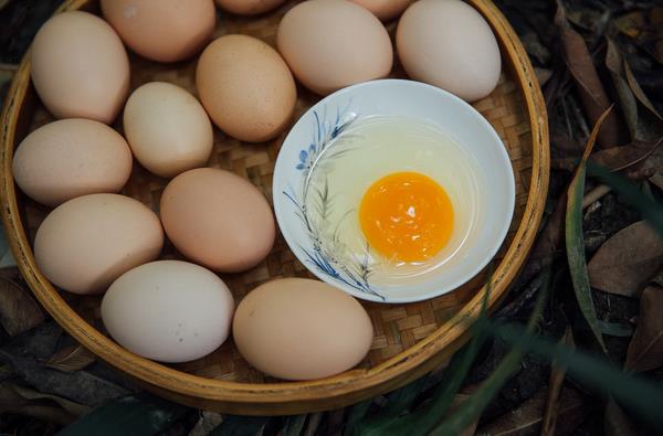 土鸡蛋与洋鸡蛋的区别是什么 土鸡蛋和洋鸡蛋的营养一样吗