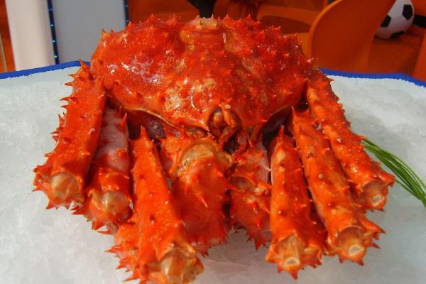 最大的帝王蟹有多大 帝王蟹怎么处理干净