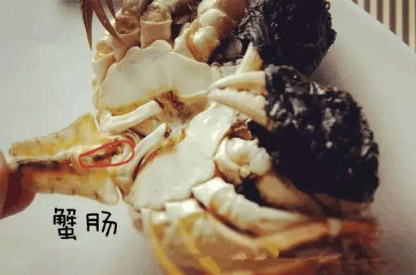 海蟹什么时候最肥 海蟹几月份吃最好