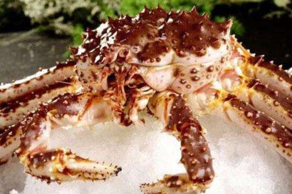 帝王蟹不是螃蟹 帝王蟹捕捞有多危险