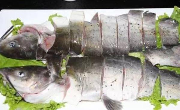 清江鱼和黑鱼哪个好吃 清江鱼有鳞吗