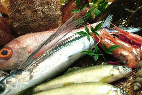 海里的飞鱼市场价格多少钱一斤 飞鱼能吃吗