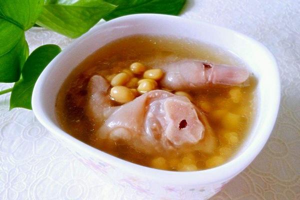 猪脚炖什么好吃 猪脚和什么一起煲汤好