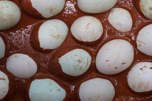 怎么腌咸鸭蛋 快速腌咸鸭蛋的方法